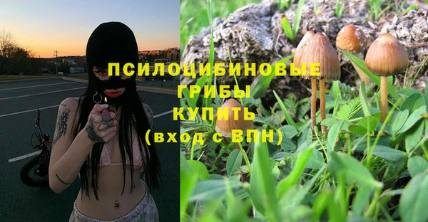 гидра Арсеньев