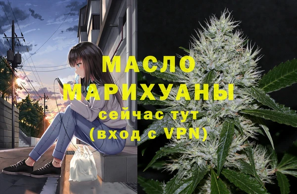 гидра Арсеньев