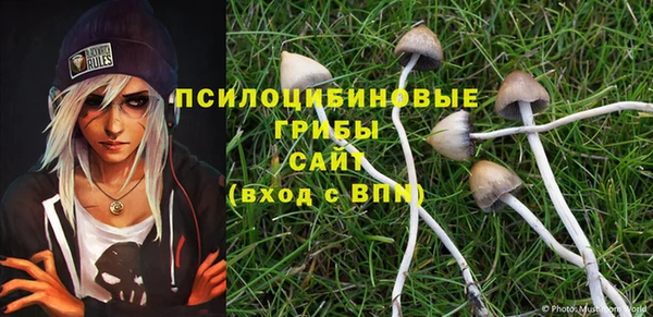 jwh Аркадак