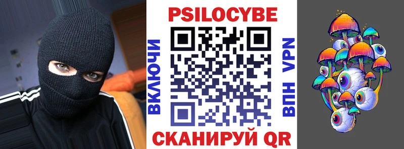 как найти закладки  Грязовец  Галлюциногенные грибы MAGIC MUSHROOMS 