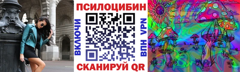 Псилоцибиновые грибы мицелий Грязовец